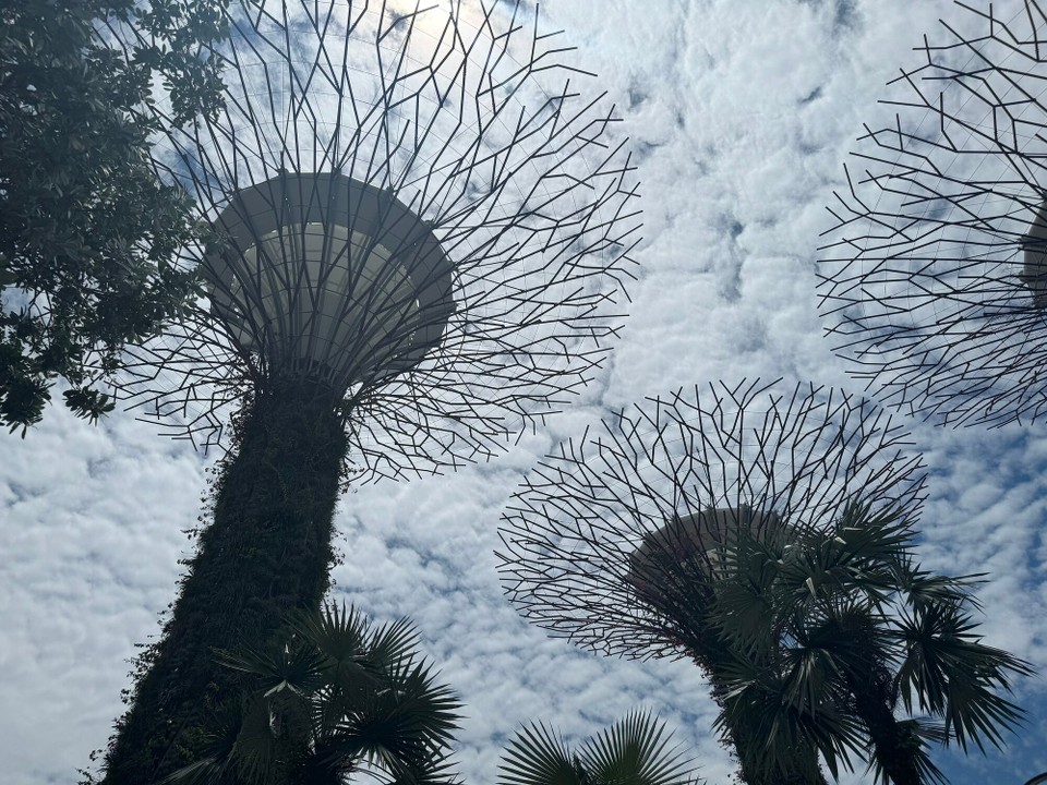 Singapur - Singapur - 