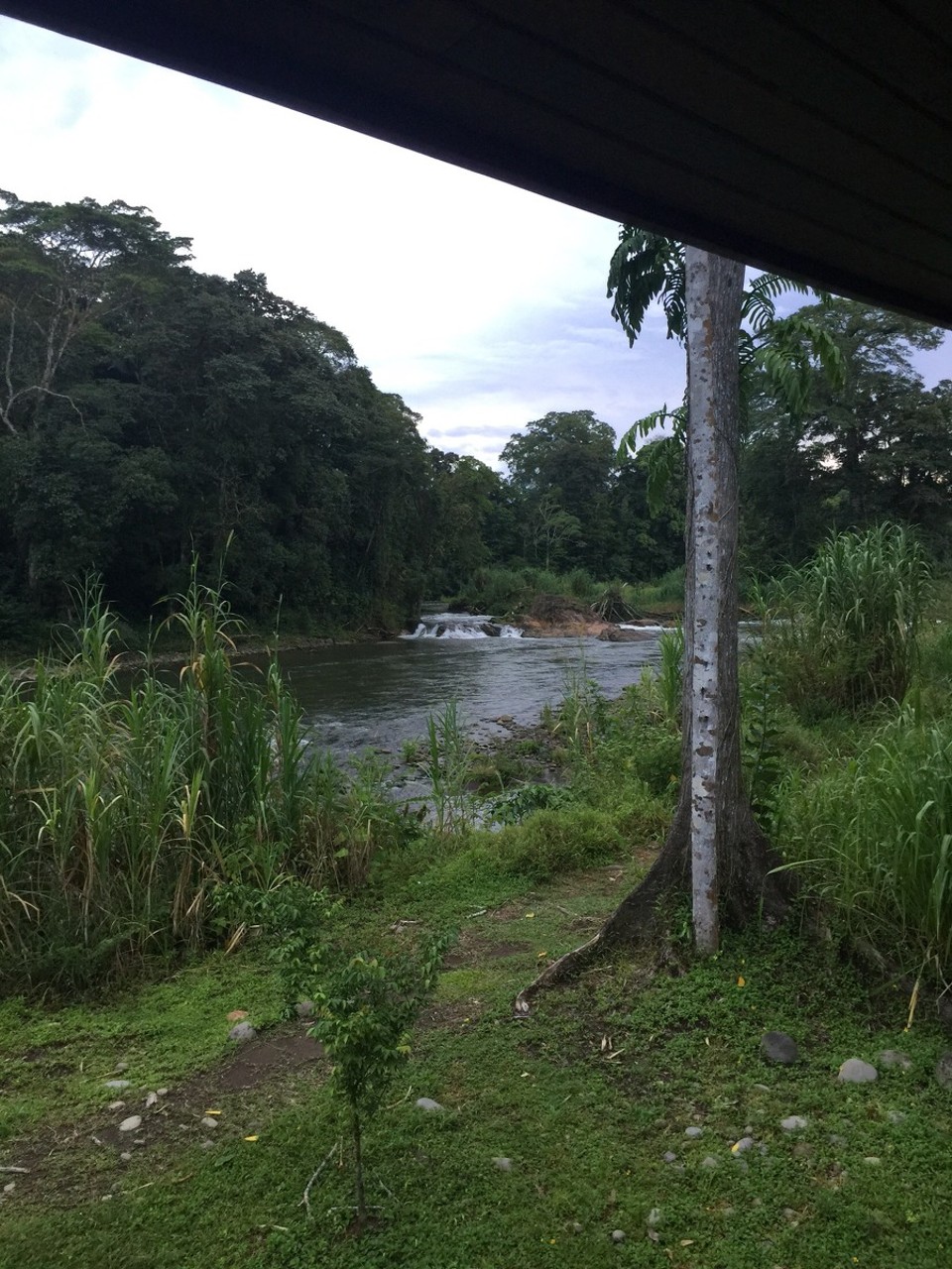 Costa Rica - Sarapiquí - 