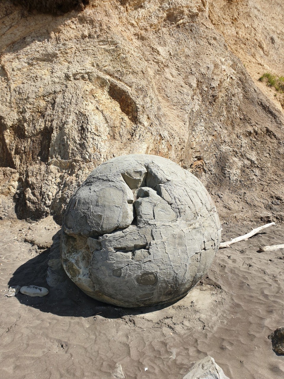 Neuseeland - Moeraki - 