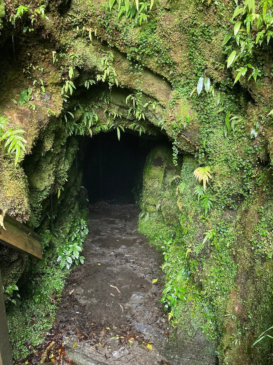 Neuseeland - Westland National Park - Tatare Tunnel