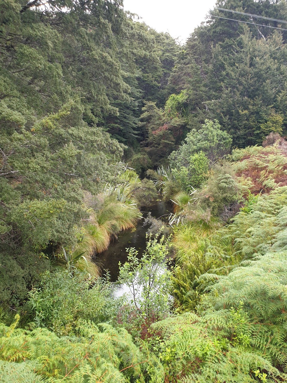 Neuseeland - Te Anau - 