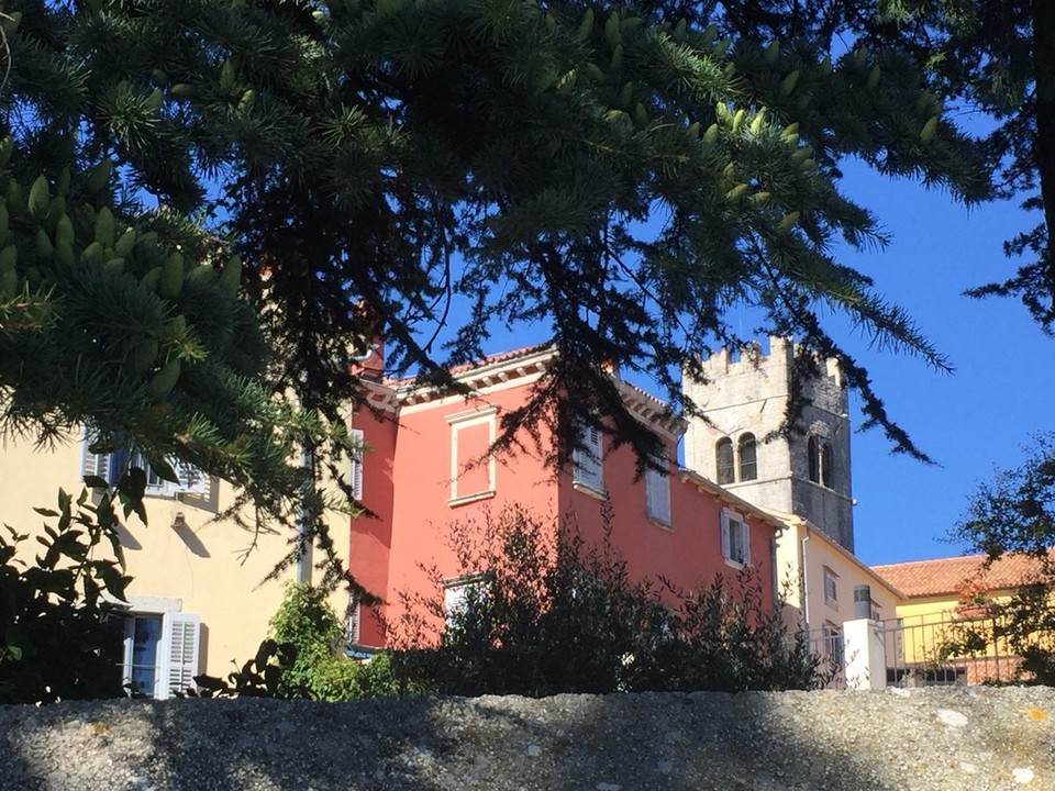 Kroatien - Motovun - 