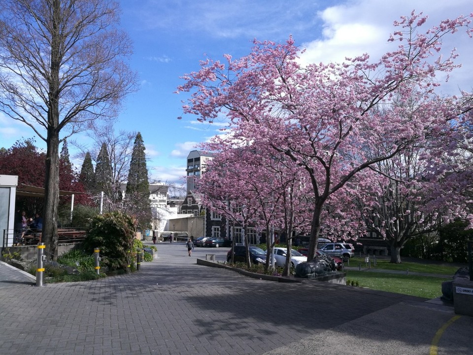 Neuseeland - Dunedin - 
