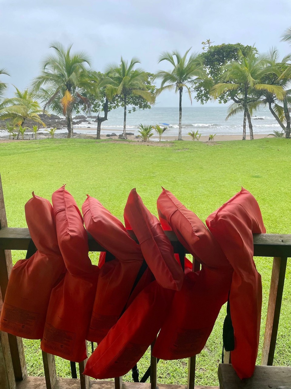 Costa Rica - Osa - Angekommen an der Rangerstation ging es dann auf Entdeckungstour 🔎