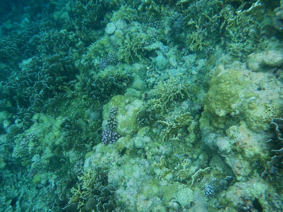 Indonesia - Kabupaten Wakatobi - 