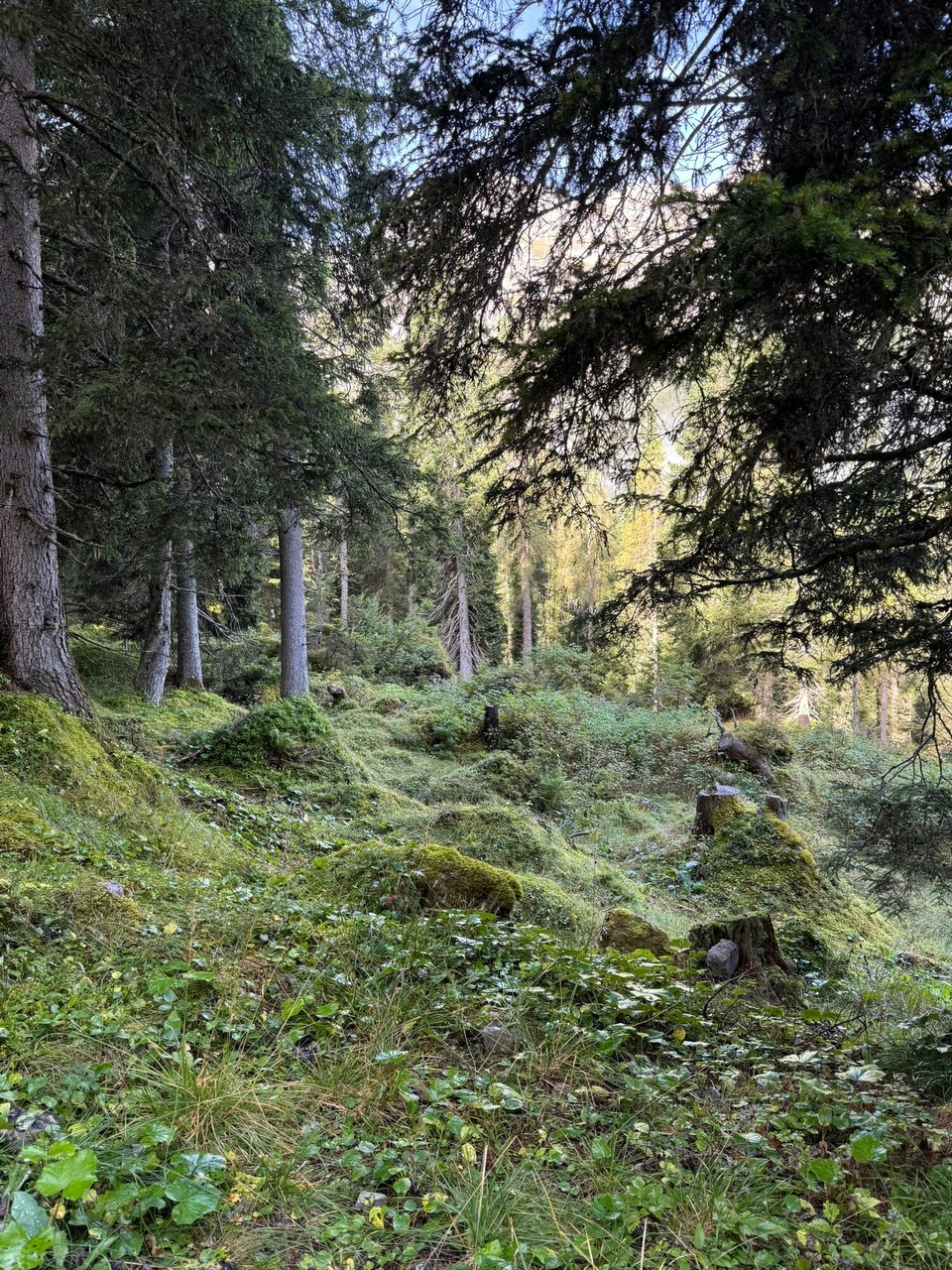 Österreich - Obernberg am Brenner - 