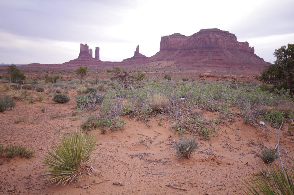 USA - Oljato-Monument Valley - 