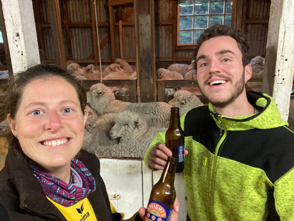 Neuseeland - Ward - Feierabendbierchen 🍻