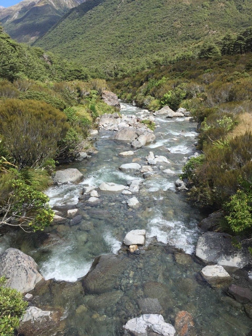 Neuseeland - Arthur’s Pass - 
