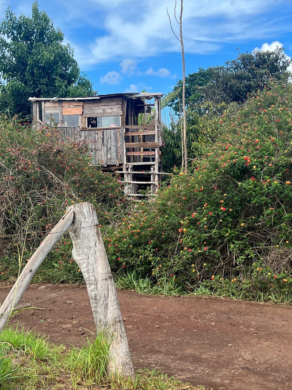 Chile - Easter Island - One of the local houses (off the ground as at risk from tsunamis)