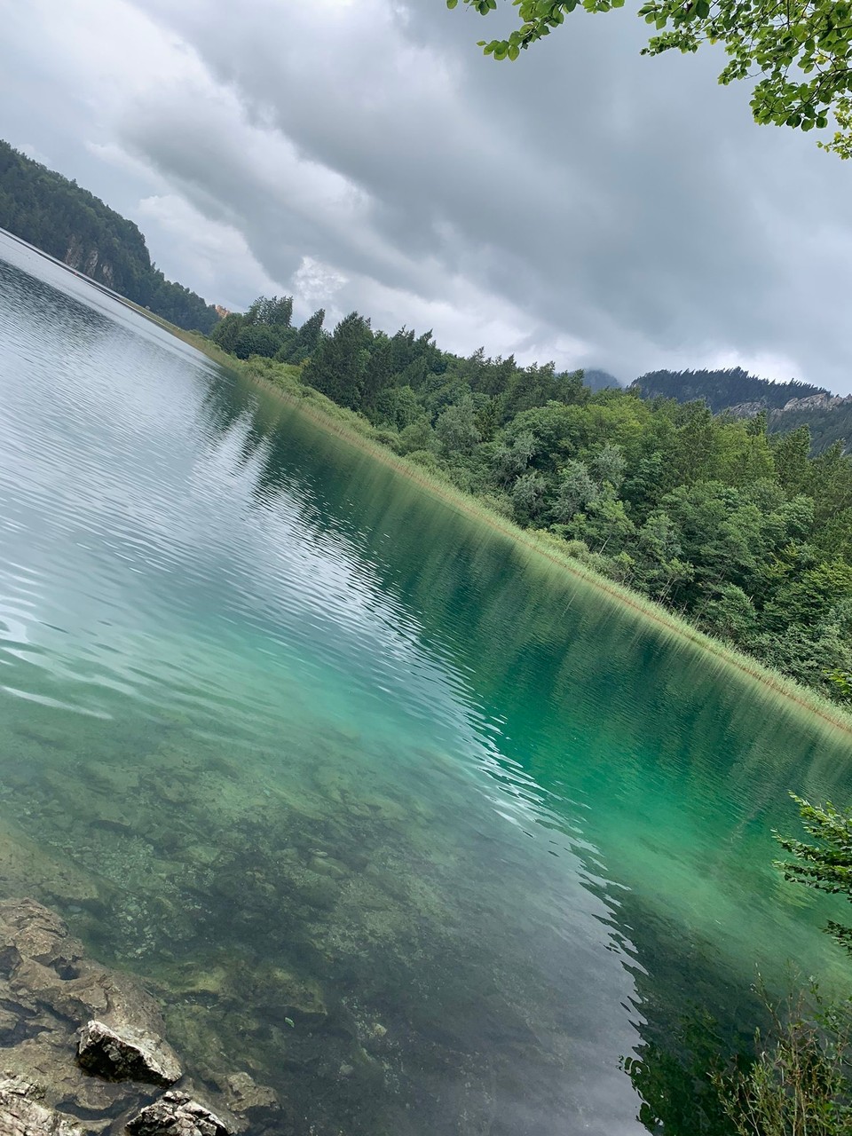  -  - Vor dem Regen… die Farbe ist traumhaft. 