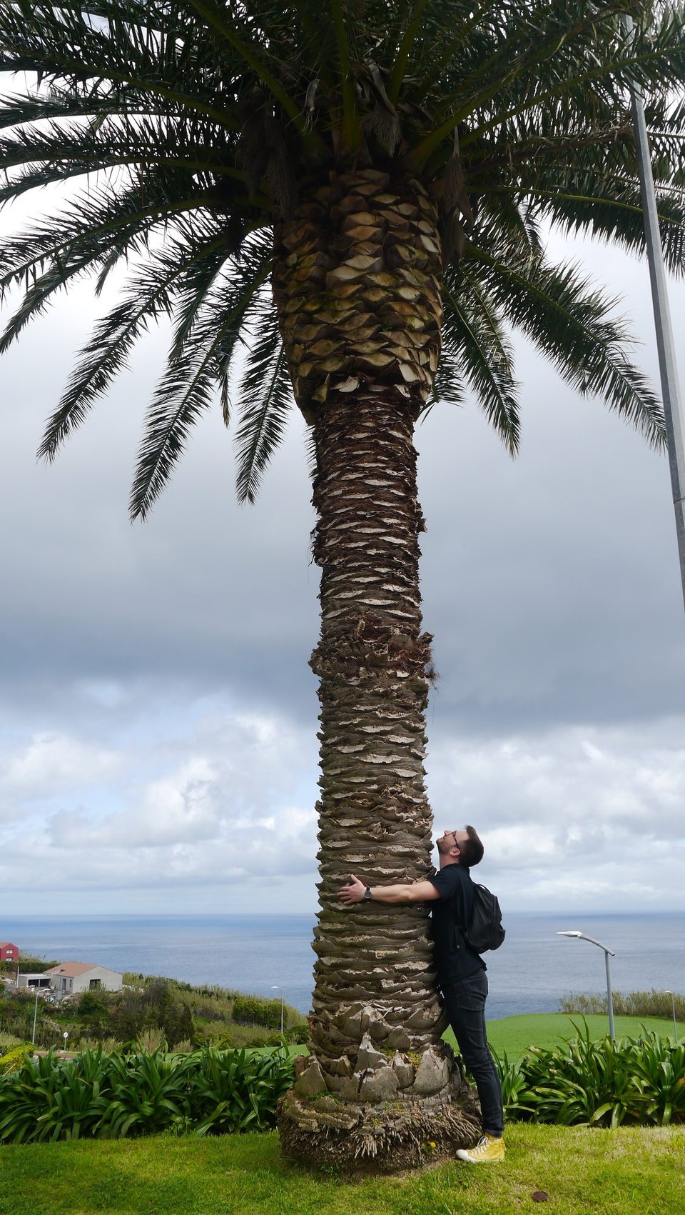 Portugal - Nordeste - Unser Highlight in Nordeste.