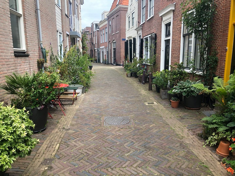 Niederlande - Haarlem - 