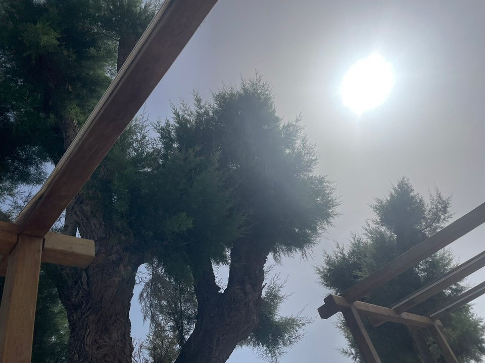 Griechenland - Gazi - 