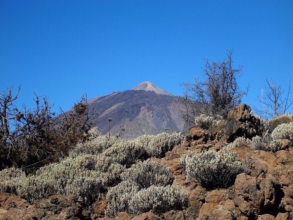  - Teneriffa - Teide Nationalpark