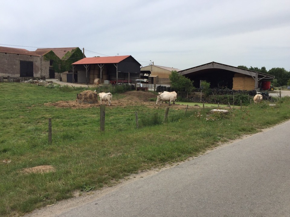 Frankreich - Saint-Brevin-les-Pins - 
