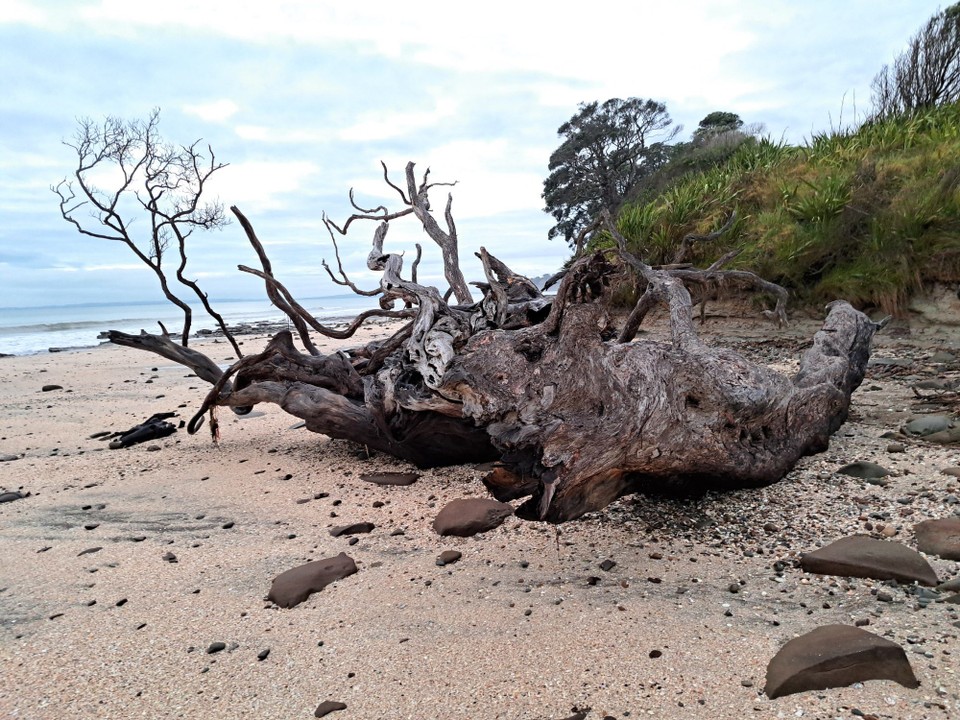 Neuseeland - Auckland - 