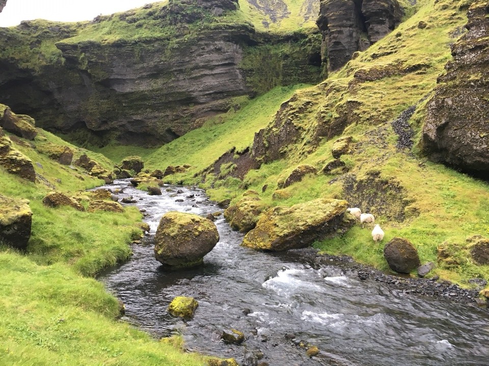 Iceland - Skógar - 