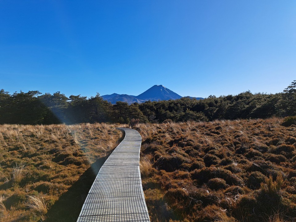 Neuseeland - National Park Village - Schöner Wanderweg mit Blick zum Tongariro 