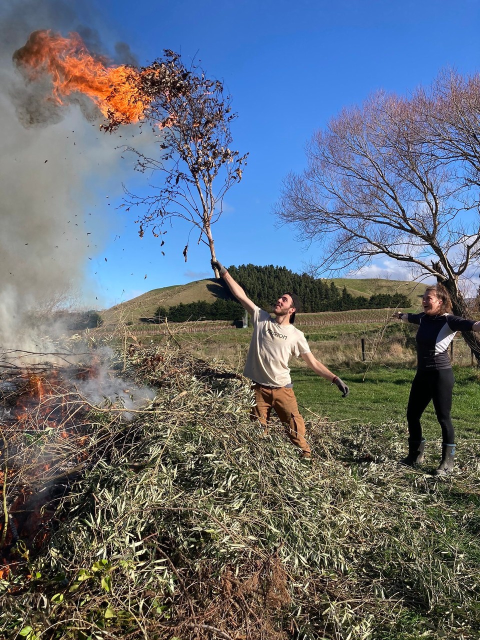Neuseeland - Ward - Gleich nach dem Mittag wird ein Feuer entzündet und die Fackel der Wwoofer wird weitergegeben 🤪
