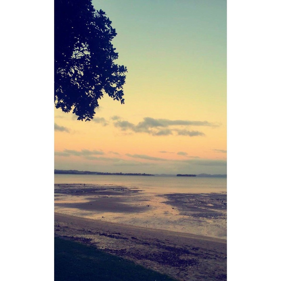 Neuseeland - Cockle Bay - 