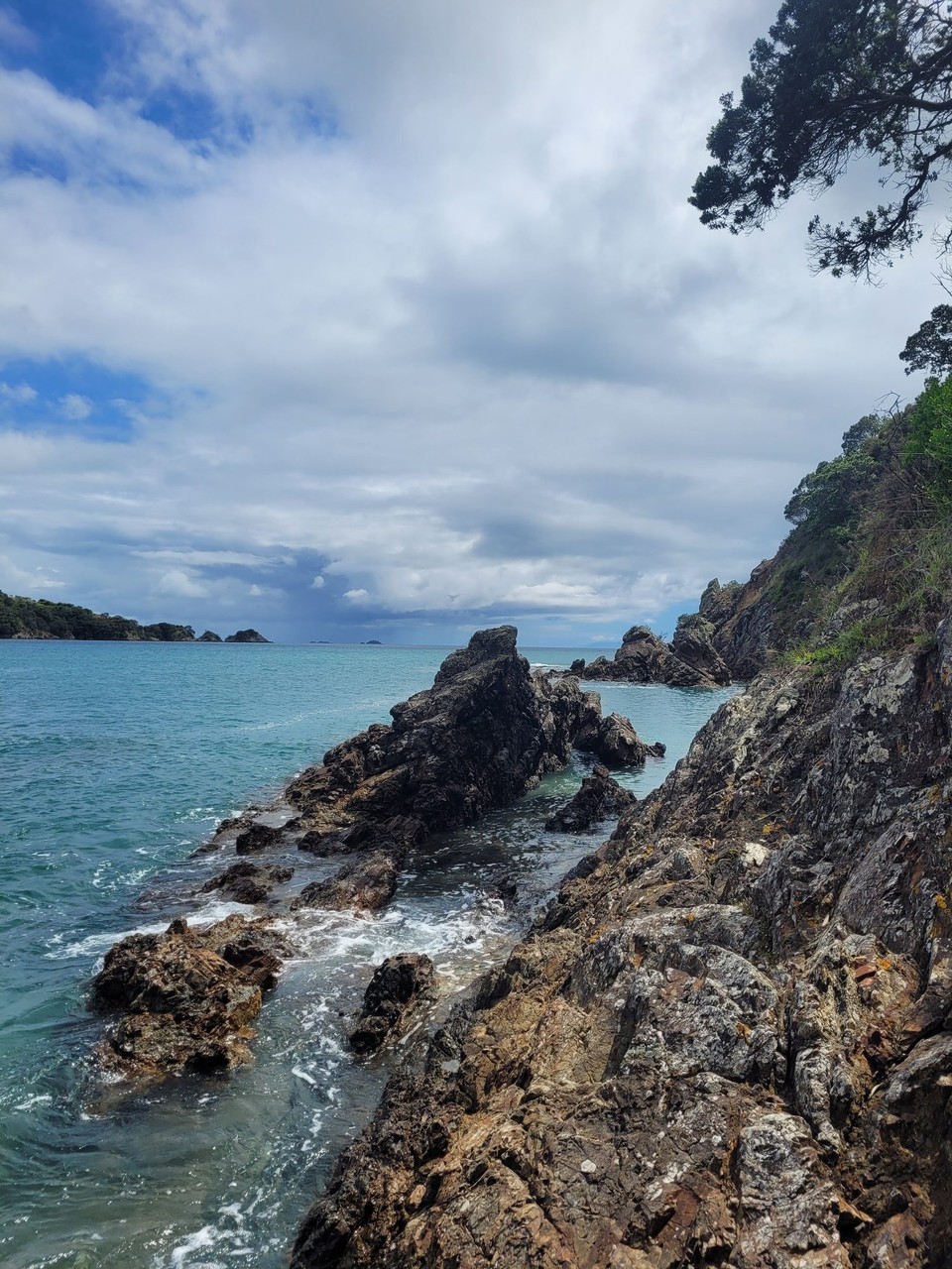 Neuseeland - Waiheke Island - 