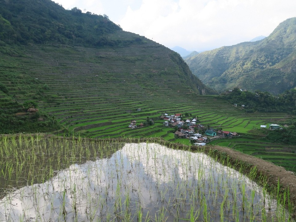 Philippines - Banaue - Pour moi les plus belles du coin