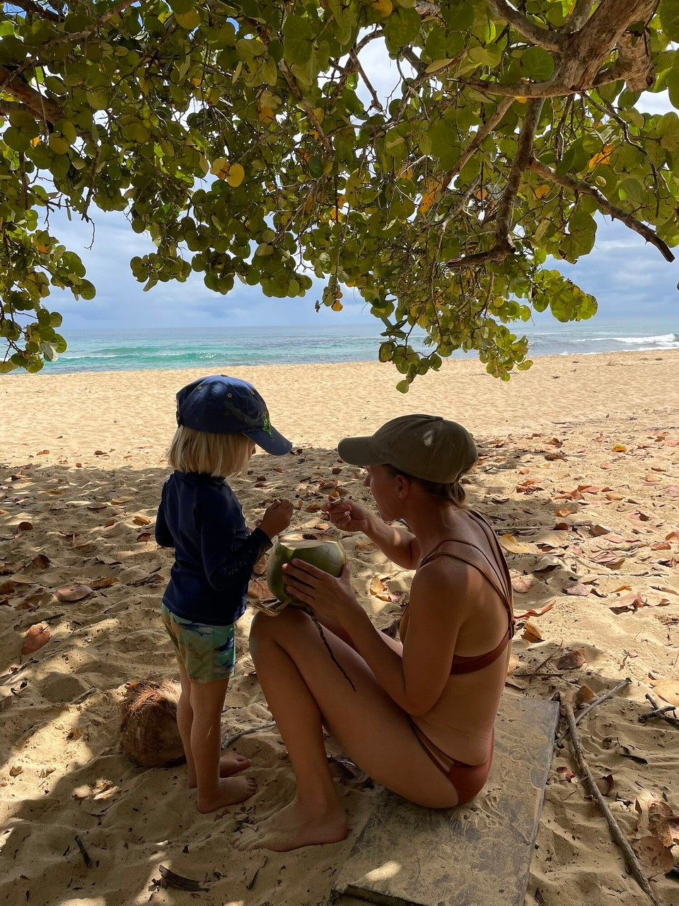 Panama -  - 🥥.