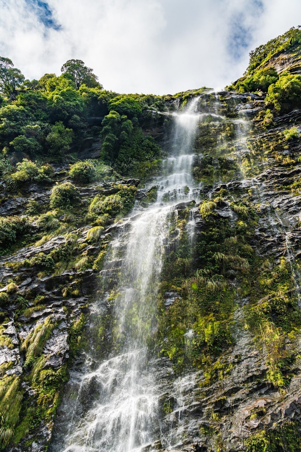 Neuseeland -  - 
