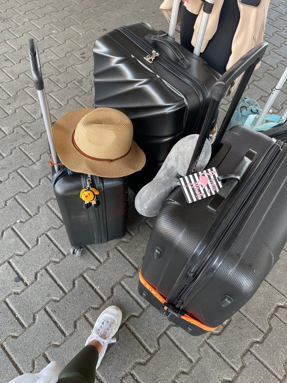Kenia - Mombasa - Ab nach Frankfurt 🧳 