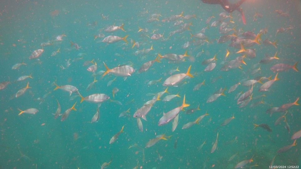 Australien - Cape Conway - 
