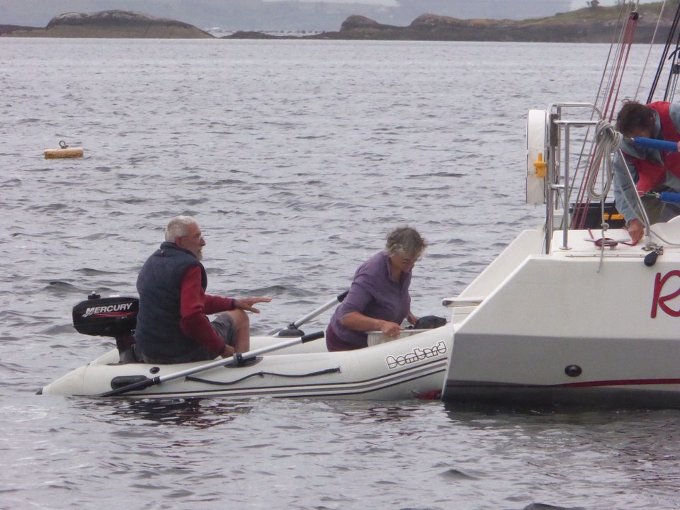 Ireland - Glengarriff - The pup being lifted into a rescue box.