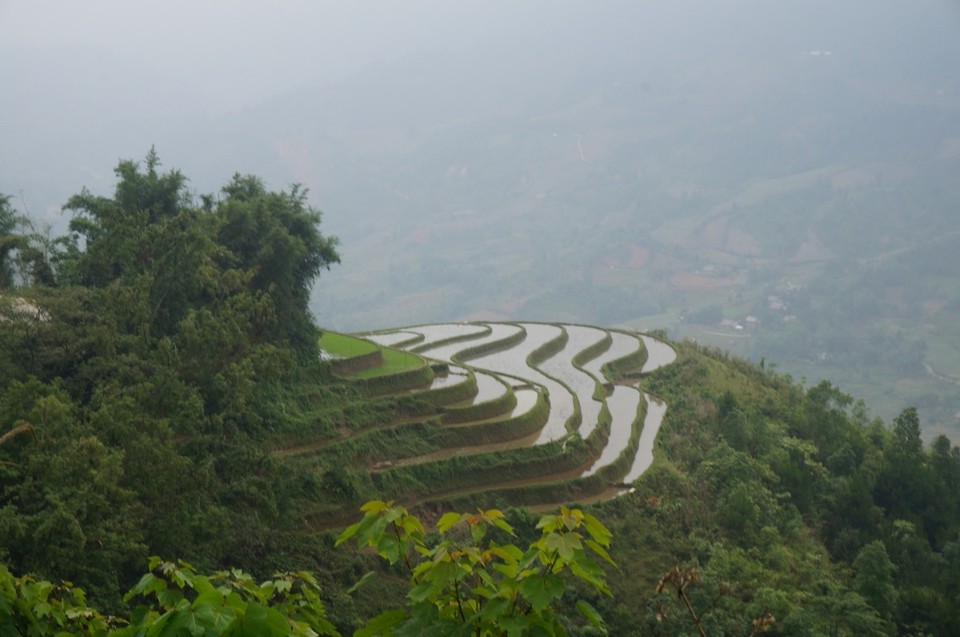 Vietnam -  - 