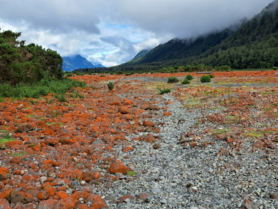 Neuseeland - Arthur’s Pass - 