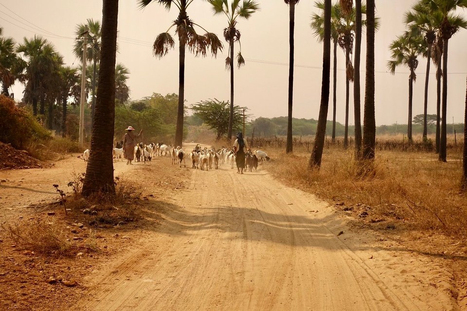 Myanmar (Burma) - Bagan - The simple life