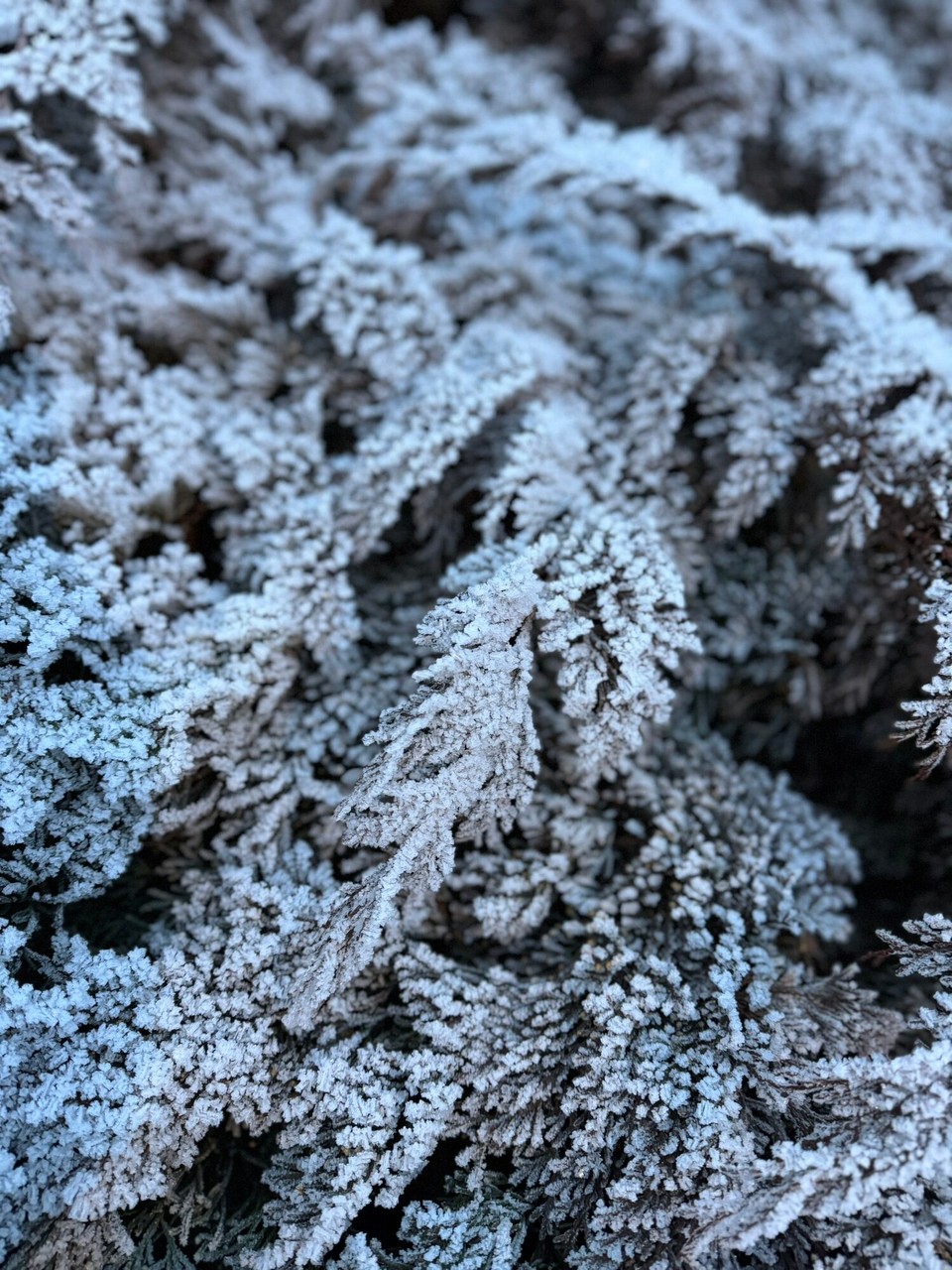 Norwegen - Lillehammer - 