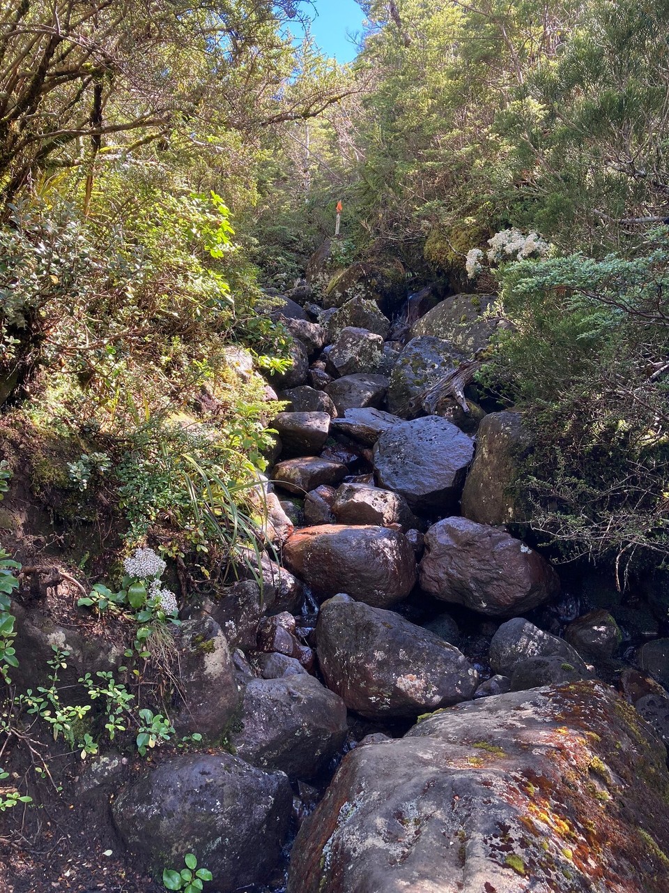 Neuseeland - Tongariro National Park - 