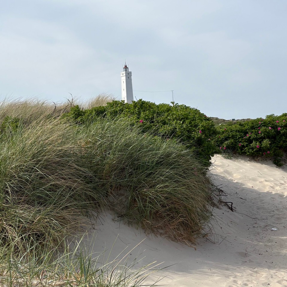 Deutschland - Seevetal - Blåvandshuk Leuchtturm (immer noch aktiv)