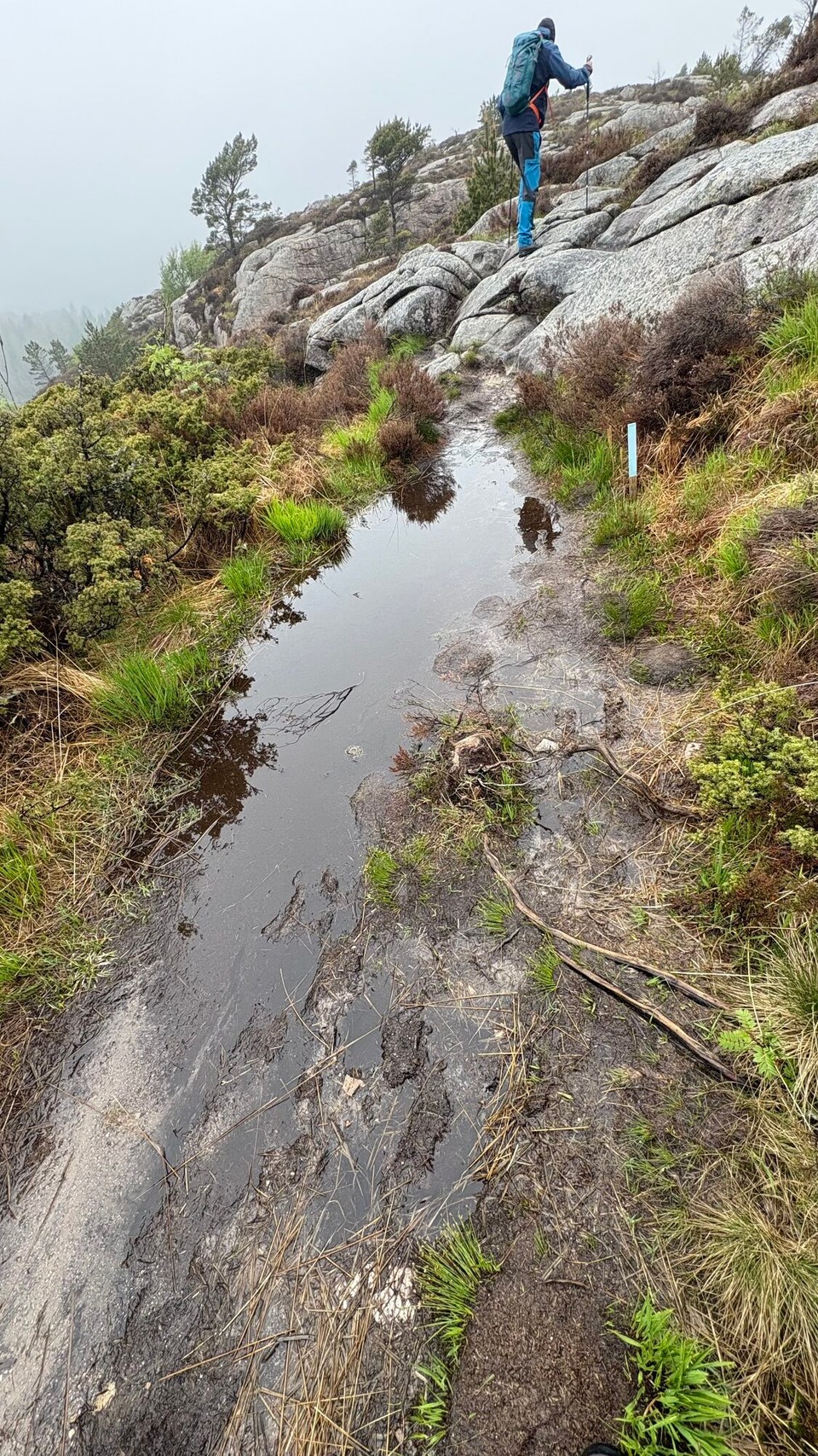 Norwegen - Svortland - durch große Pfützen 
