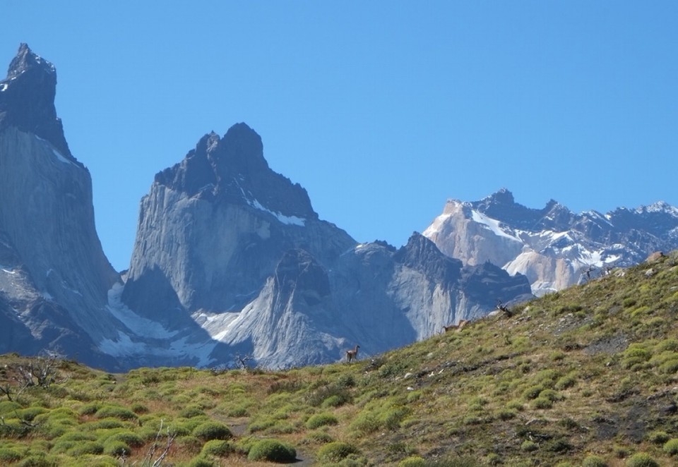 Chile - Torres del Paine - Cuernos del paine ... And two guanacos