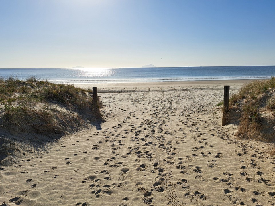 Neuseeland - Mangawhai - Weiter wieder dem Strand entlang 