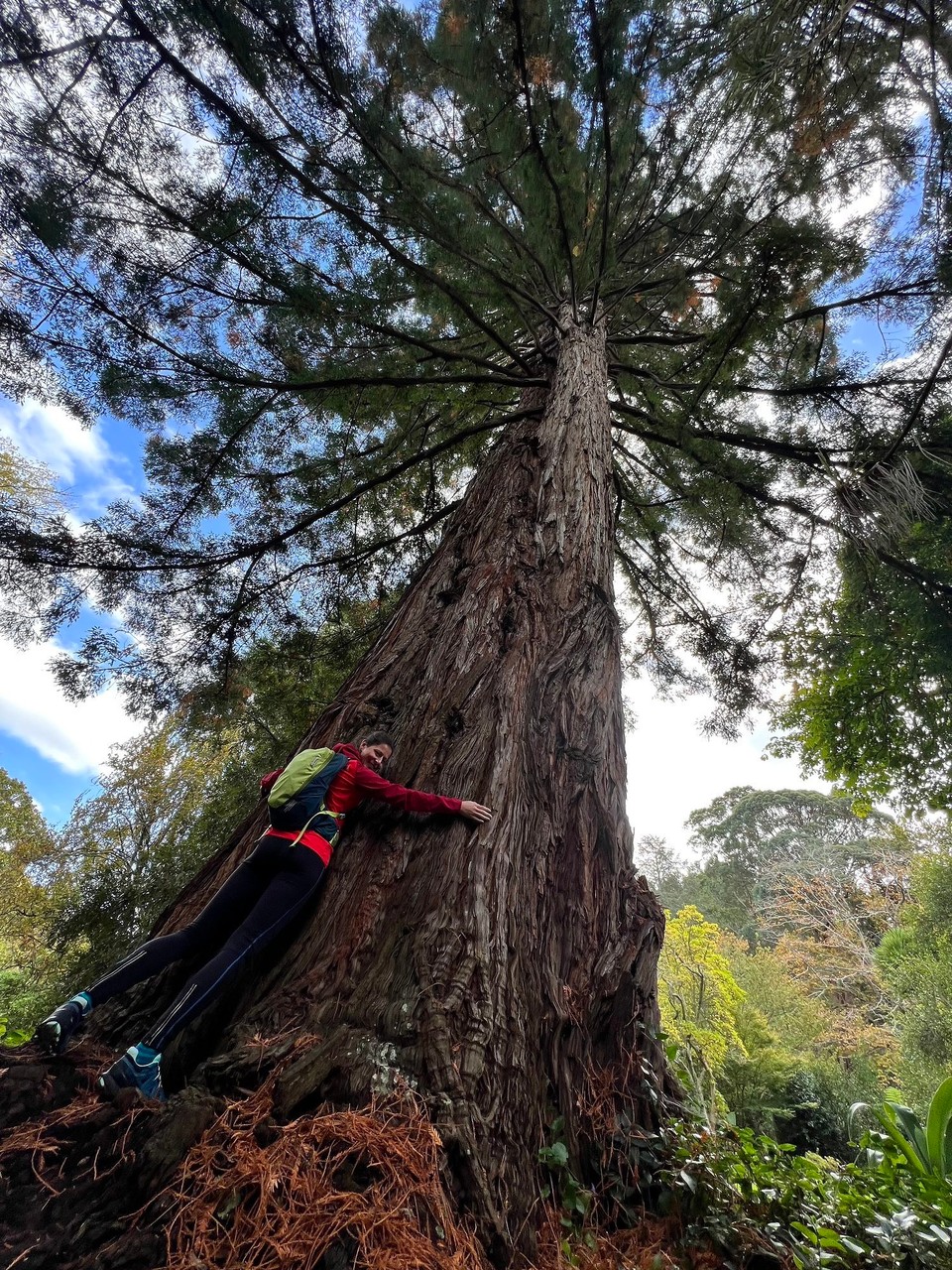 Neuseeland - Gisborne - Ein paar Bäumchen umarmen 🤪