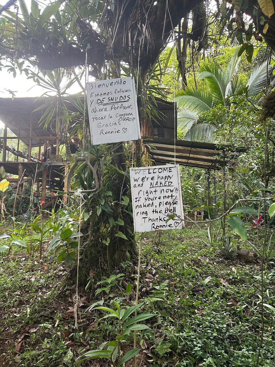 Costa Rica - Nationalpark Corcovado - 