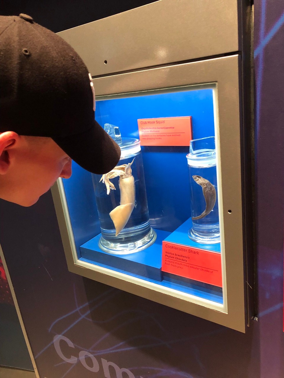 Vereinigte Staaten - Washington - Museum of Natural History