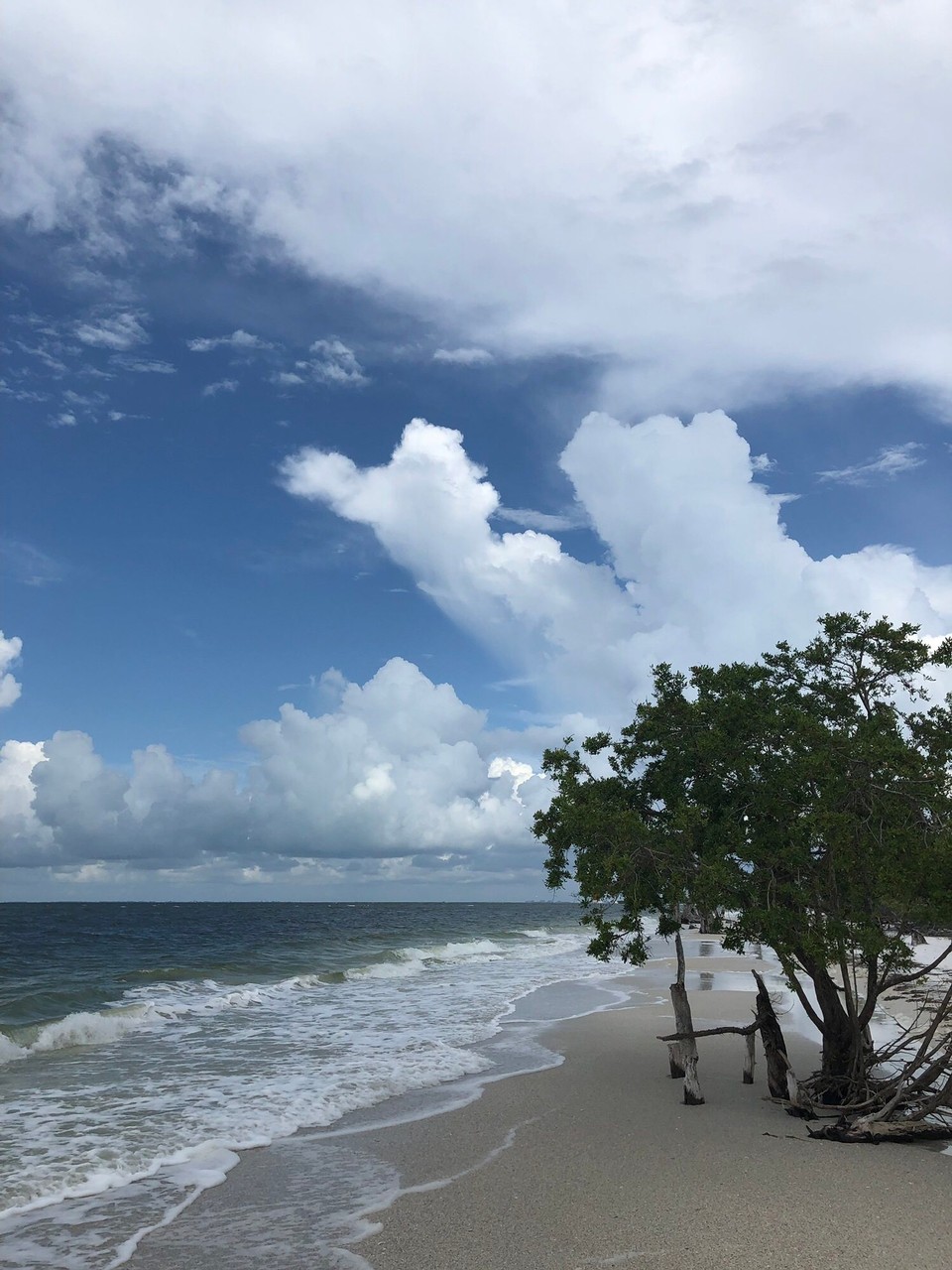 Vereinigte Staaten - Fort Myers Beach - 