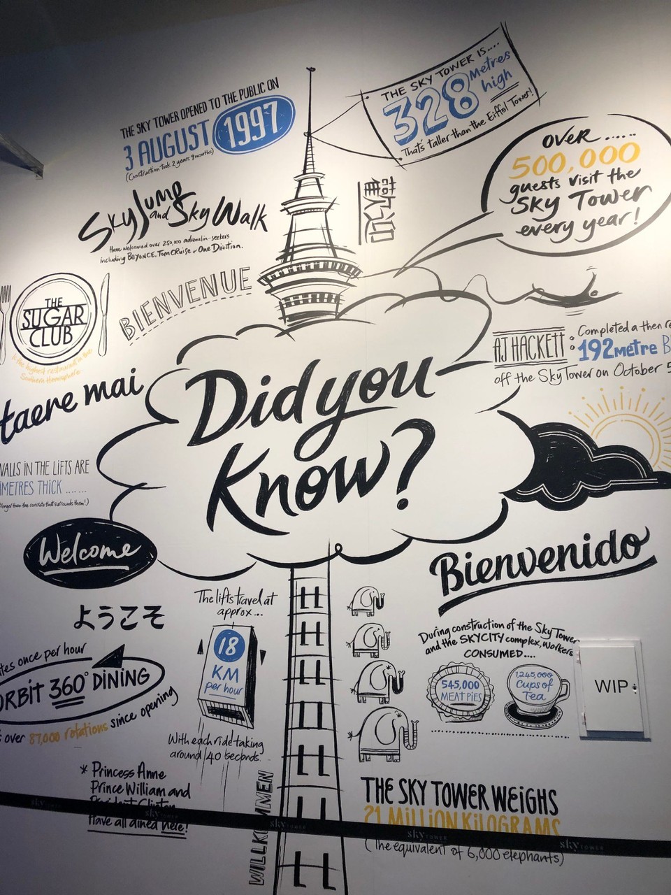 Neuseeland - Auckland - Einige Fakten zum Skytower