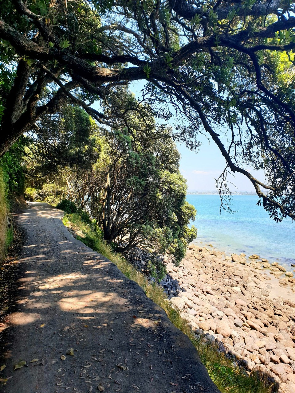 Neuseeland - Tauranga - Der Wanderweg rund um den Berg:)