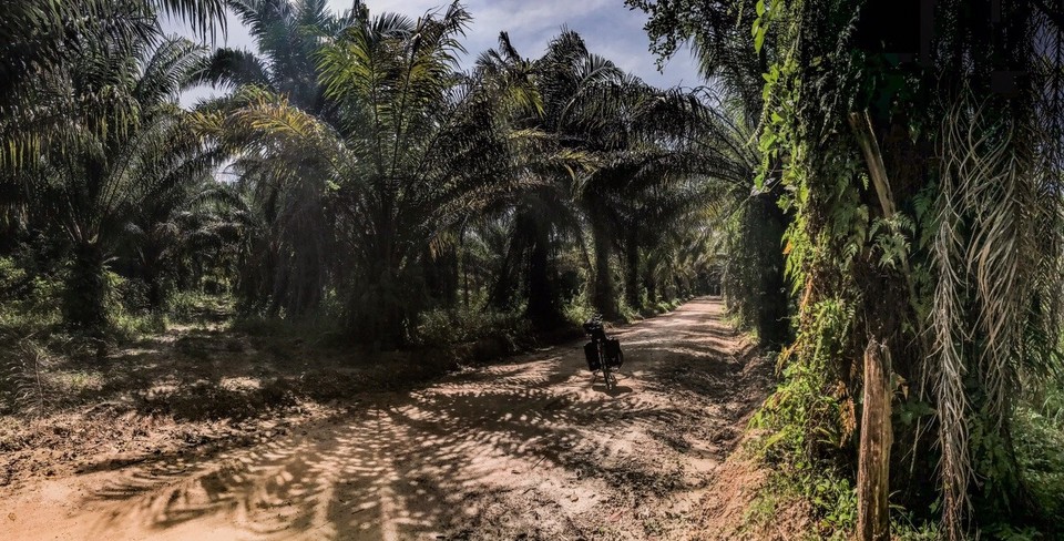 Thailand - Amphoe Sikao - 