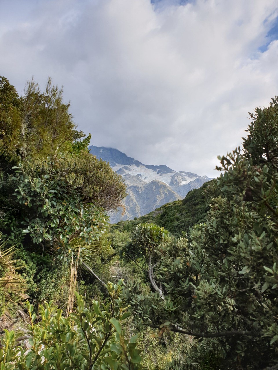 Neuseeland - Aoraki - 