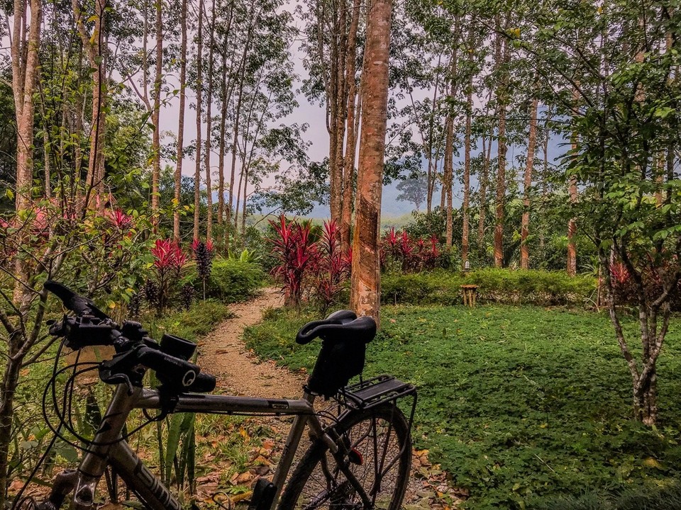 Thailand - Amphoe Mueang Phang-nga - 
